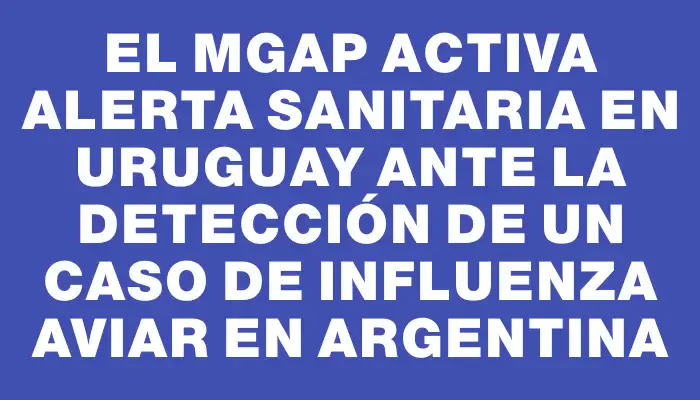 El Mgap activa alerta sanitaria en Uruguay ante la detección de un caso de influenza aviar en Argentina