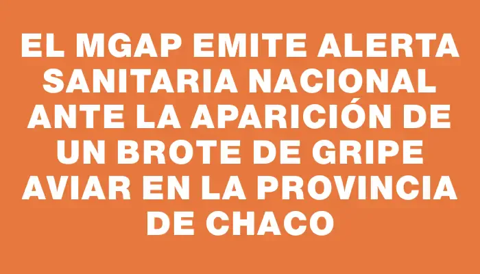 El Mgap emite alerta sanitaria nacional ante la aparición de un brote de gripe aviar en la provincia de Chaco