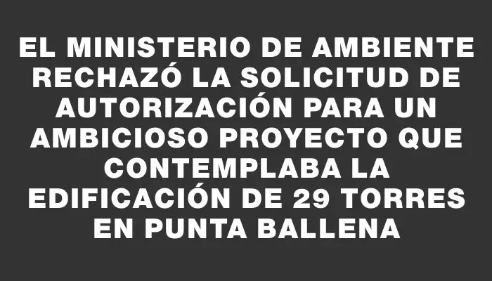 El Ministerio de Ambiente rechazó la solicitud de autorización para un ambicioso proyecto que contemplaba la edificación de 29 torres en Punta Ballena