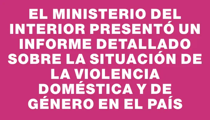 El Ministerio del Interior presentó un informe detallado sobre la situación de la violencia doméstica y de género en el país