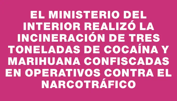 El Ministerio del Interior realizó la incineración de tres toneladas de cocaína y marihuana confiscadas en operativos contra el narcotráfico