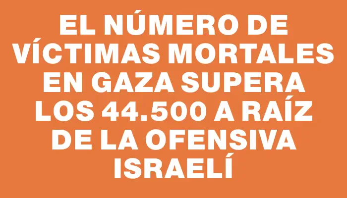 El número de víctimas mortales en Gaza supera los 44.500 a raíz de la ofensiva israelí