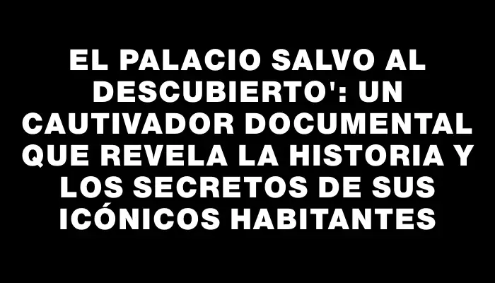 El Palacio Salvo al Descubierto