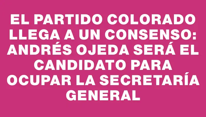 El Partido Colorado llega a un consenso: Andrés Ojeda será el candidato para ocupar la secretaría general