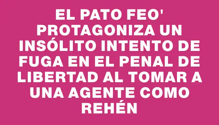 El Pato Feo" protagoniza un insólito intento de fuga en el Penal de Libertad al tomar a una agente como rehén