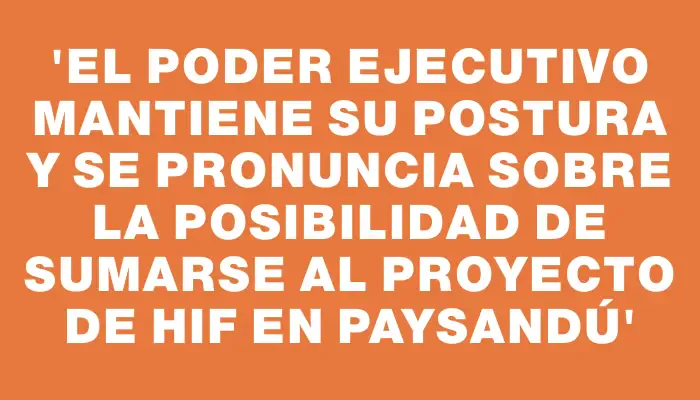 “El Poder Ejecutivo mantiene su postura y se pronuncia sobre la posibilidad de sumarse al proyecto de Hif en Paysandú”