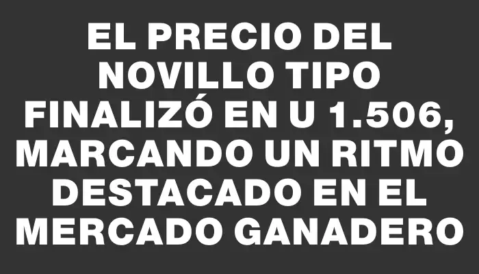 El precio del Novillo Tipo finalizó en U$s 1.506, marcando un ritmo destacado en el mercado ganadero