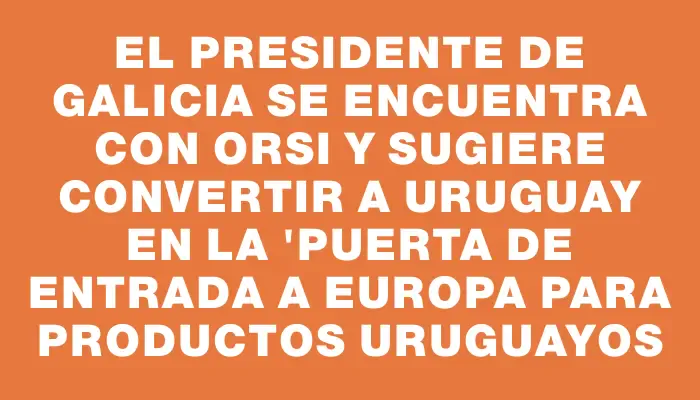 El Presidente de Galicia se encuentra con Orsi y sugiere convertir a Uruguay en la "puerta de entrada a Europa para productos uruguayos