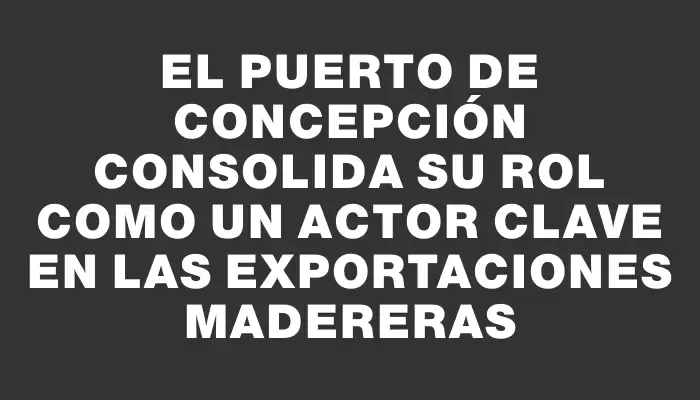 El Puerto de Concepción consolida su rol como un actor clave en las exportaciones madereras