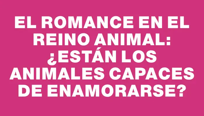 El Romance en el Reino Animal: ¿Están los Animales Capaces de Enamorarse?