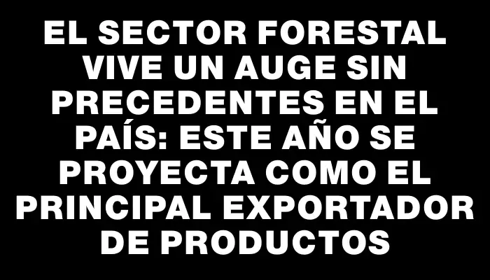 El sector forestal vive un auge sin precedentes en el país: este año se proyecta como el principal exportador de productos