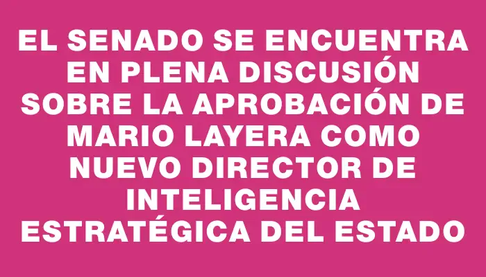 El Senado se encuentra en plena discusión sobre la aprobación de Mario Layera como nuevo director de Inteligencia Estratégica del Estado