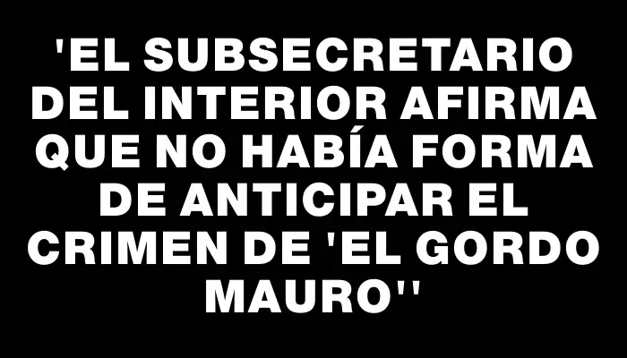 “El subsecretario del Interior afirma que no había forma de anticipar el crimen de ‘El Gordo Mauro’”