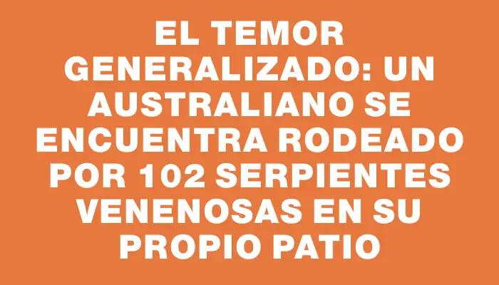 El temor generalizado: un australiano se encuentra rodeado por 102 serpientes venenosas en su propio patio