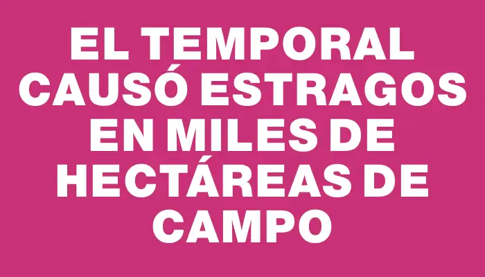 El temporal causó estragos en miles de hectáreas de campo