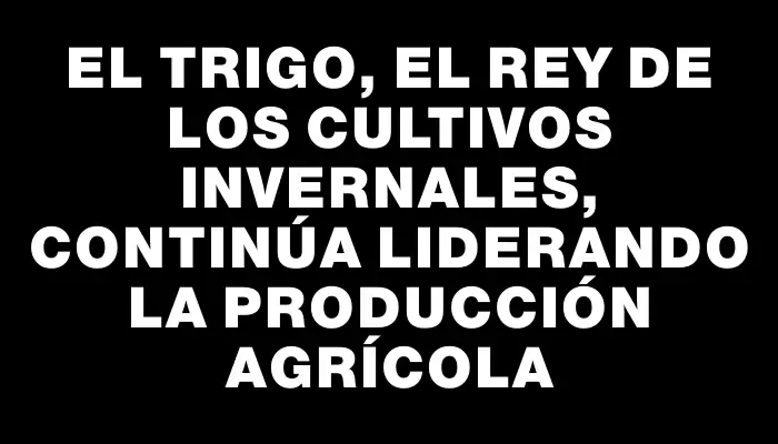 El trigo, el rey de los cultivos invernales, continúa liderando la producción agrícola