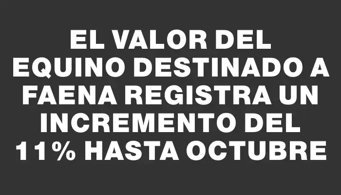 El valor del equino destinado a faena registra un incremento del 11% hasta octubre