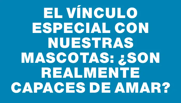 El Vínculo Especial con Nuestras Mascotas: ¿Son Realmente Capaces de Amar?