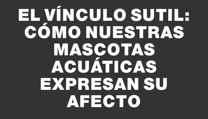 El vínculo sutil: cómo nuestras mascotas acuáticas expresan su afecto