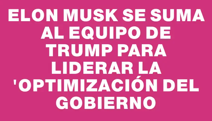 Elon Musk se suma al equipo de Trump para liderar la "optimización del gobierno