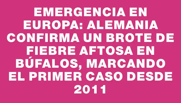 Emergencia en Europa: Alemania confirma un brote de fiebre aftosa en búfalos, marcando el primer caso desde 2011