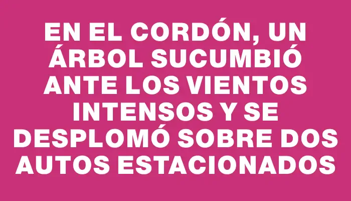 En el Cordón, un árbol sucumbió ante los vientos intensos y se desplomó sobre dos autos estacionados