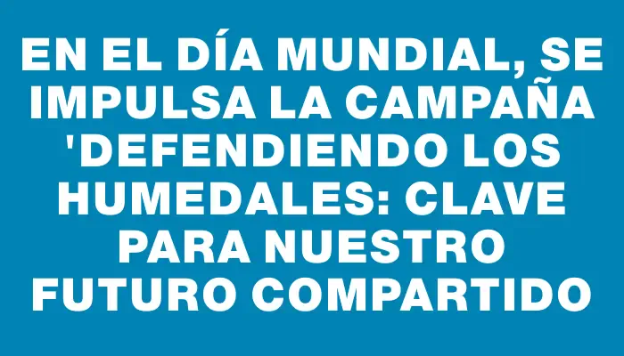 En el Día Mundial, se impulsa la campaña "Defendiendo los Humedales: Clave para Nuestro Futuro Compartido