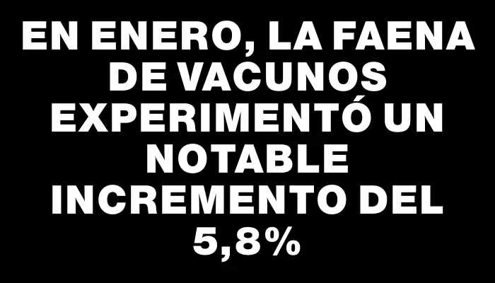 En enero, la faena de vacunos experimentó un notable incremento del 5,8%