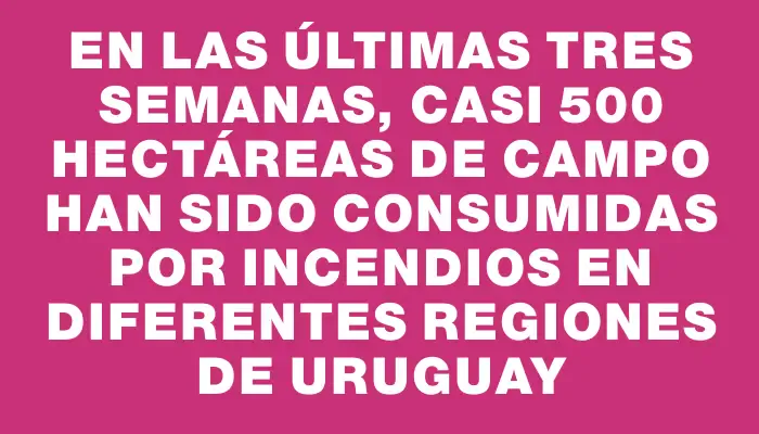 En las últimas tres semanas, casi 500 hectáreas de campo han sido consumidas por incendios en diferentes regiones de Uruguay