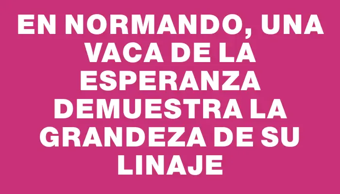 En Normando, una vaca de La Esperanza demuestra la grandeza de su linaje