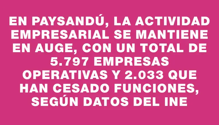 En Paysandú, la actividad empresarial se mantiene en auge, con un total de 5.797 empresas operativas y 2.033 que han cesado funciones, según datos del Ine