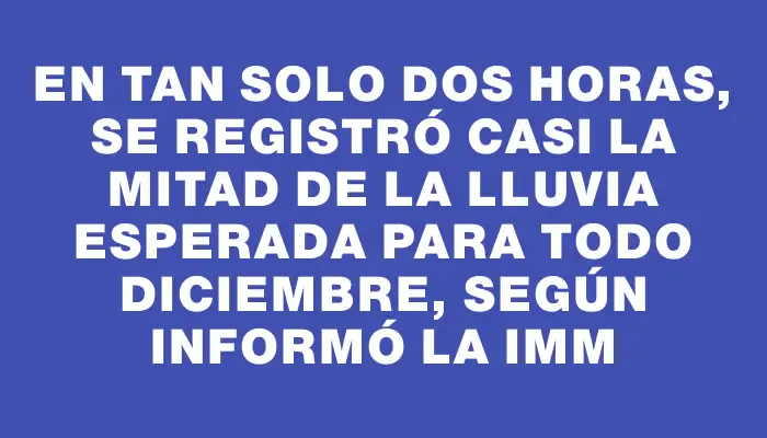 En tan solo dos horas, se registró casi la mitad de la lluvia esperada para todo diciembre, según informó la Imm