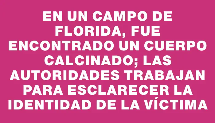 En un campo de Florida, fue encontrado un cuerpo calcinado; las autoridades trabajan para esclarecer la identidad de la víctima