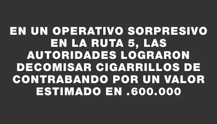 En un operativo sorpresivo en la ruta 5, las autoridades lograron decomisar cigarrillos de contrabando por un valor estimado en $1.600.000