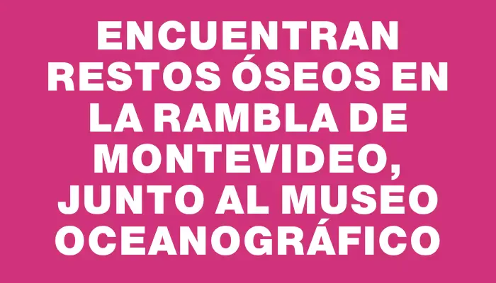 Encuentran restos óseos en la rambla de Montevideo, junto al museo Oceanográfico