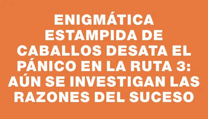 Enigmática estampida de caballos desata el pánico en la Ruta 3: aún se investigan las razones del suceso