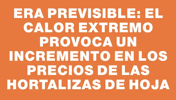 Era previsible: el calor extremo provoca un incremento en los precios de las hortalizas de hoja