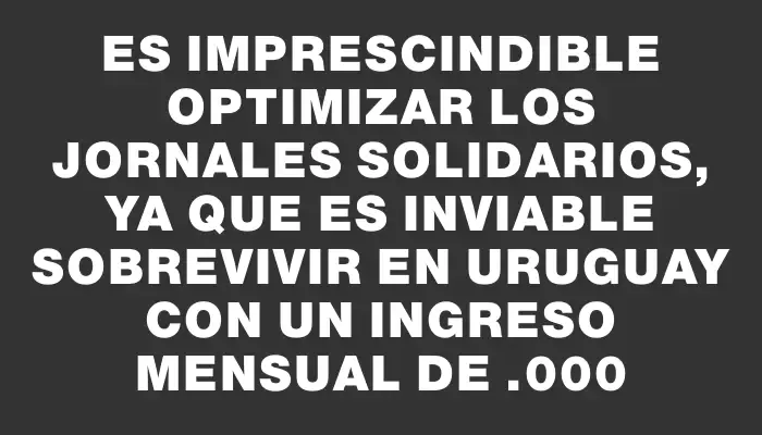 Es imprescindible optimizar los Jornales Solidarios, ya que es inviable sobrevivir en Uruguay con un ingreso mensual de $7.000