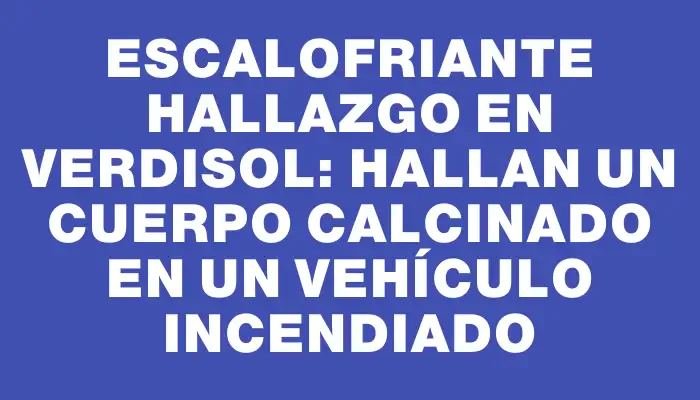 Escalofriante hallazgo en Verdisol: hallan un cuerpo calcinado en un vehículo incendiado