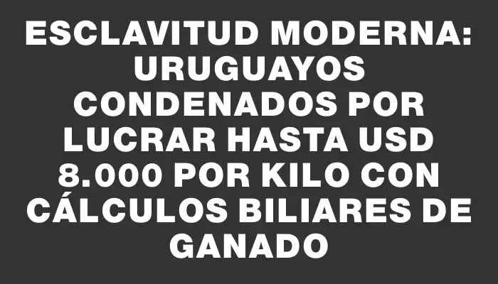 Esclavitud moderna: uruguayos condenados por lucrar hasta Usd 8.000 por kilo con cálculos biliares de ganado