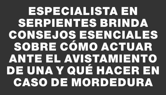 Especialista en serpientes brinda consejos esenciales sobre cómo actuar ante el avistamiento de una y qué hacer en caso de mordedura