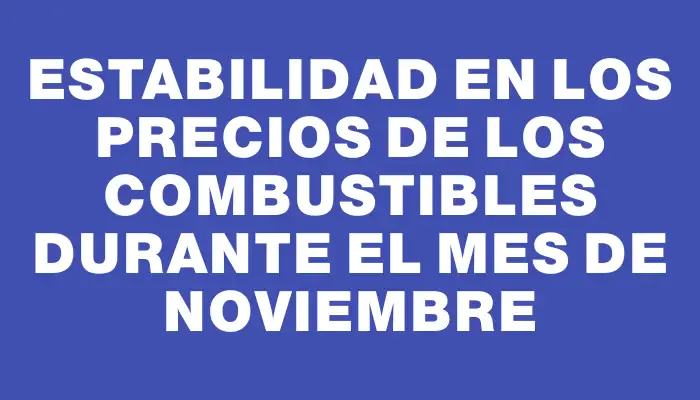 Estabilidad en los precios de los combustibles durante el mes de noviembre