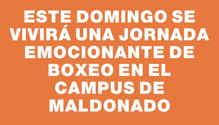 Este domingo se vivirá una jornada emocionante de boxeo en el Campus de Maldonado