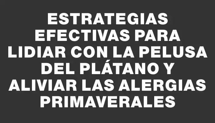 Estrategias efectivas para lidiar con la pelusa del plátano y aliviar las alergias primaverales