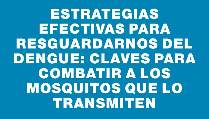 Estrategias efectivas para resguardarnos del dengue: Claves para combatir a los mosquitos que lo transmiten