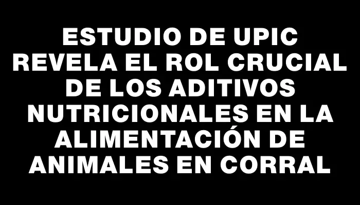 Estudio de Upic revela el rol crucial de los aditivos nutricionales en la alimentación de animales en corral