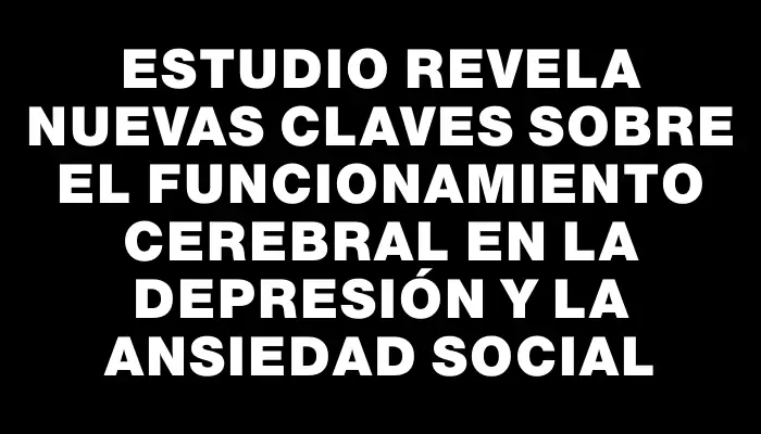 Estudio revela nuevas claves sobre el funcionamiento cerebral en la depresión y la ansiedad social