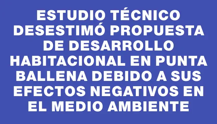 Estudio técnico desestimó propuesta de desarrollo habitacional en Punta Ballena debido a sus efectos negativos en el medio ambiente