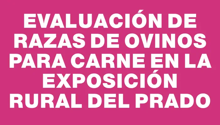 Evaluación de razas de ovinos para carne en la exposición Rural del Prado