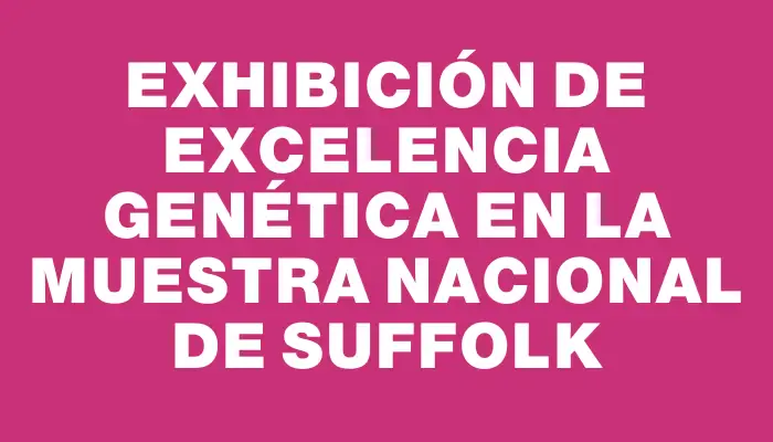 Exhibición de excelencia genética en la Muestra Nacional de Suffolk